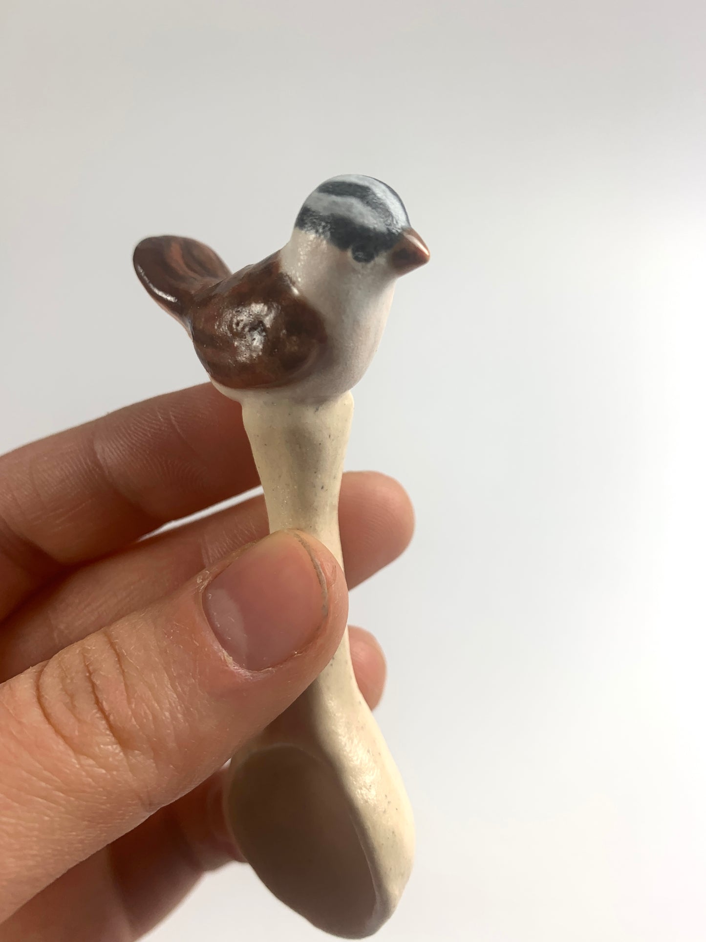 White-Crowned Sparrow Spoon