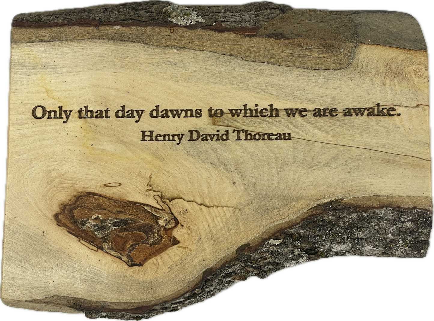 Quotation Plaques