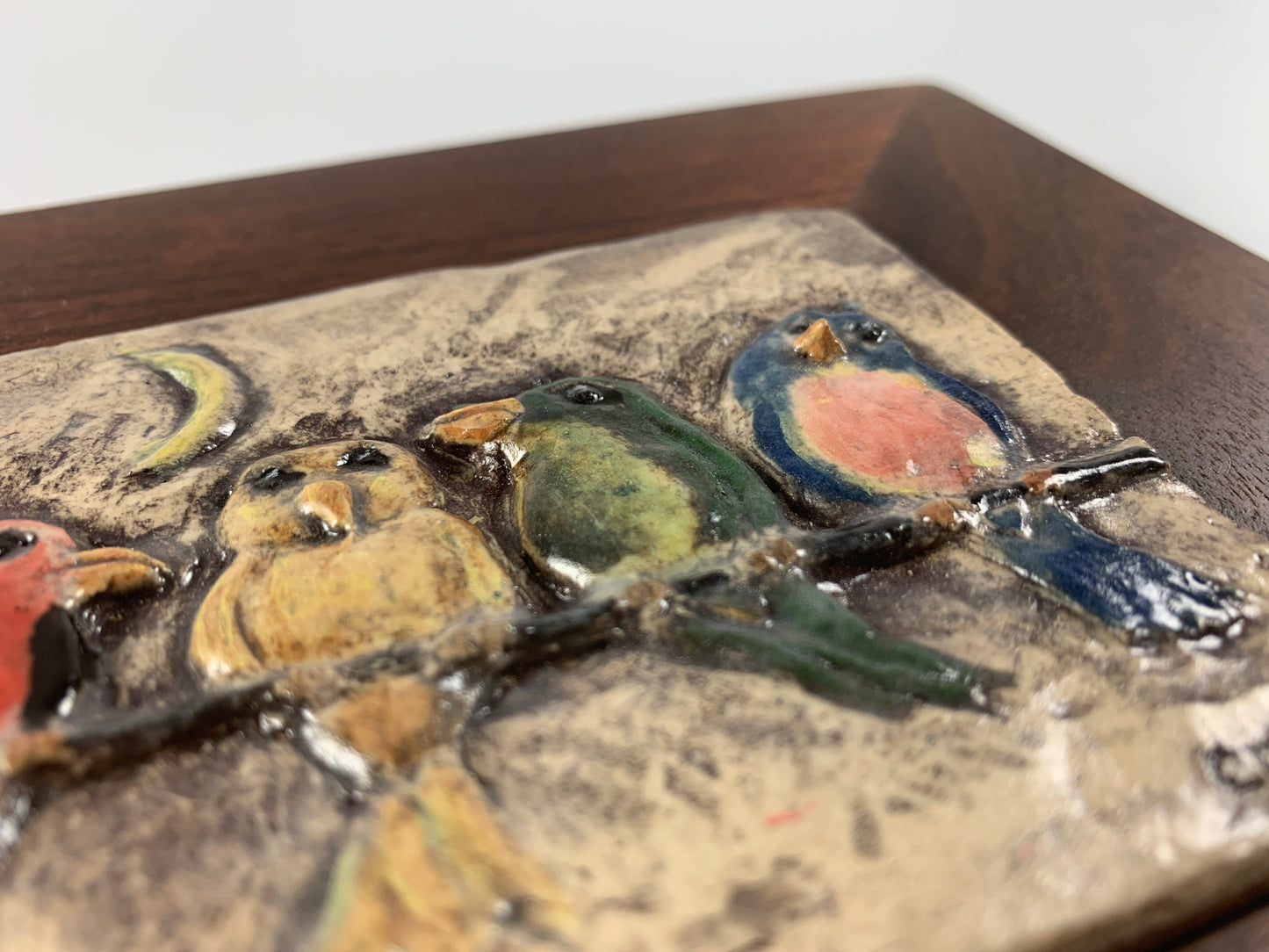 Bird Family