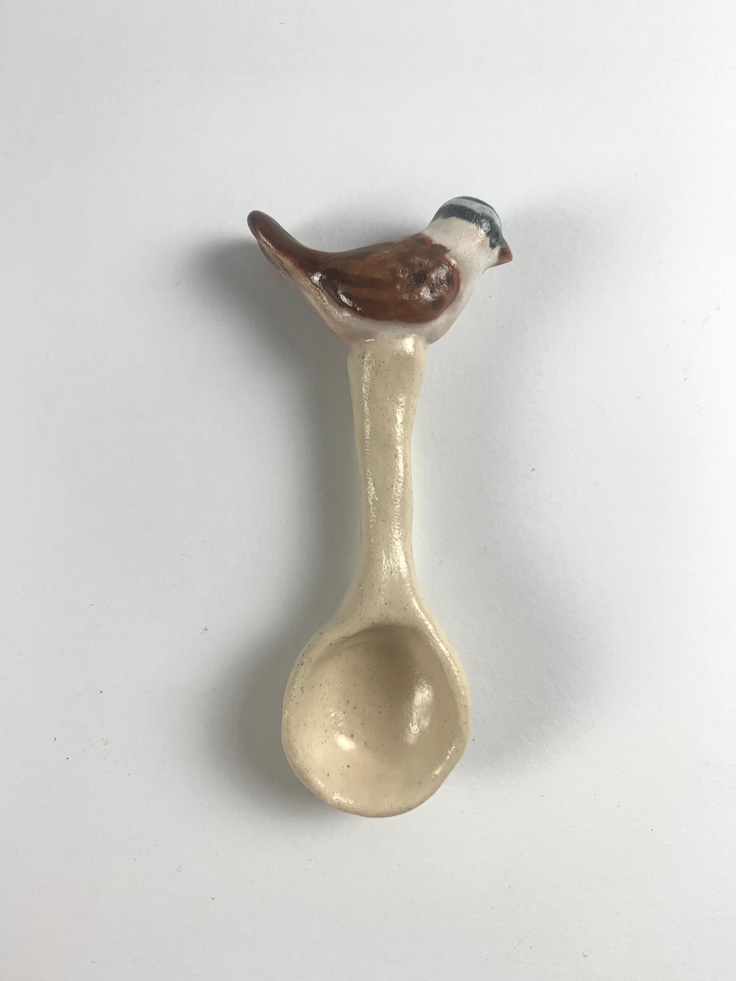White-Crowned Sparrow Spoon