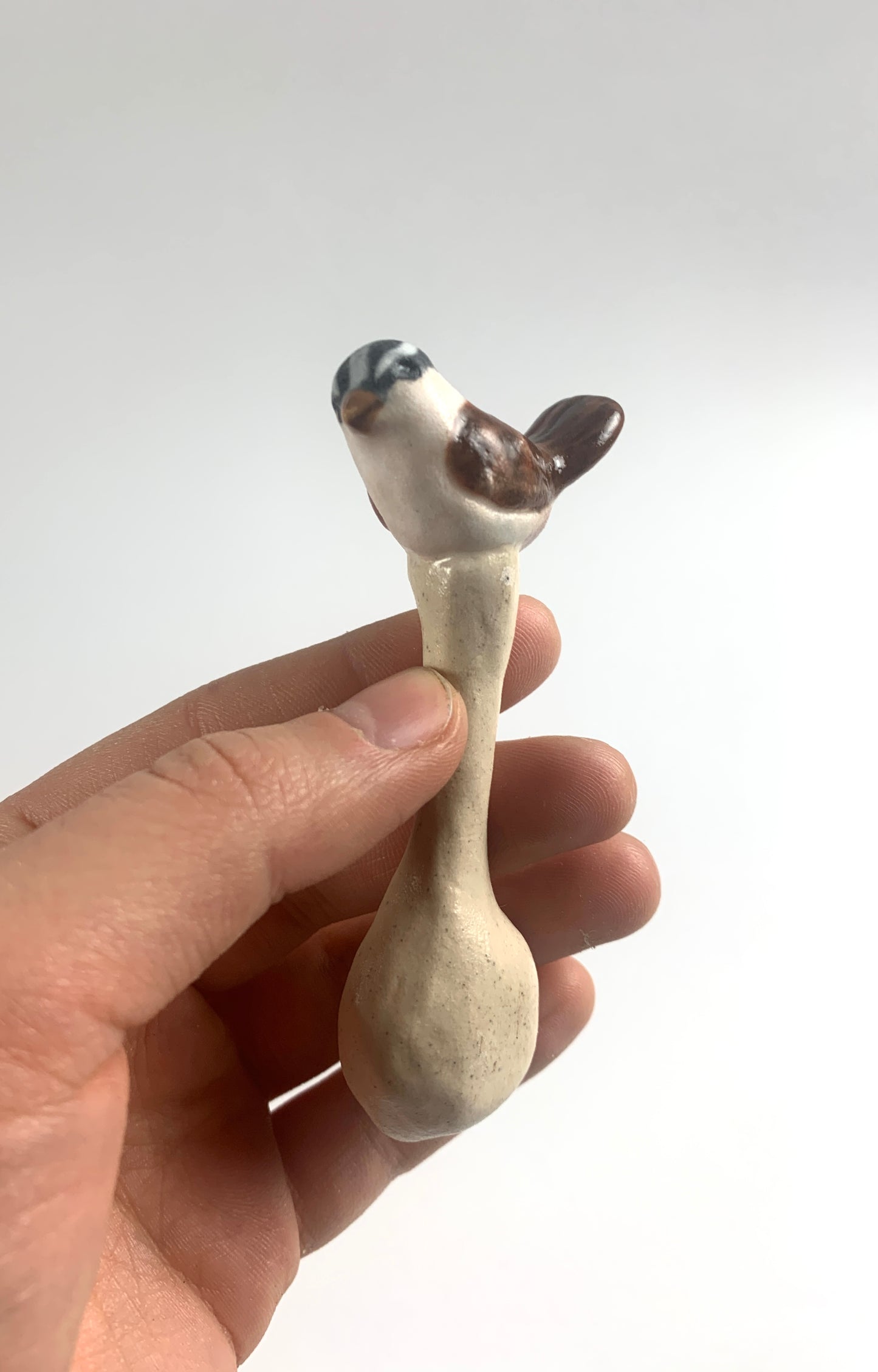 White-Crowned Sparrow Spoon
