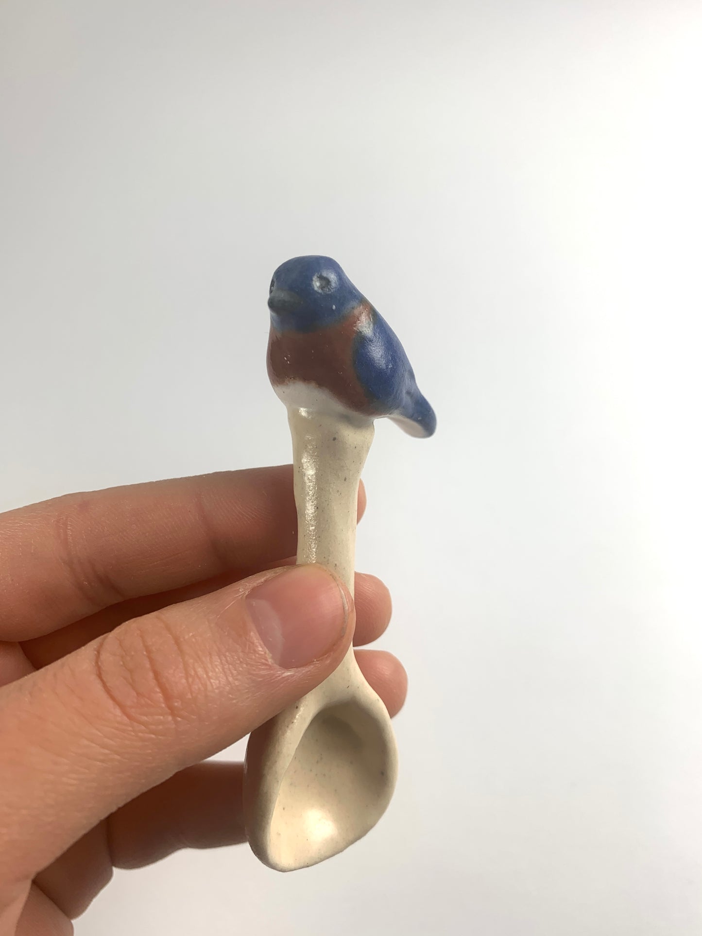 Bluebird Spoon