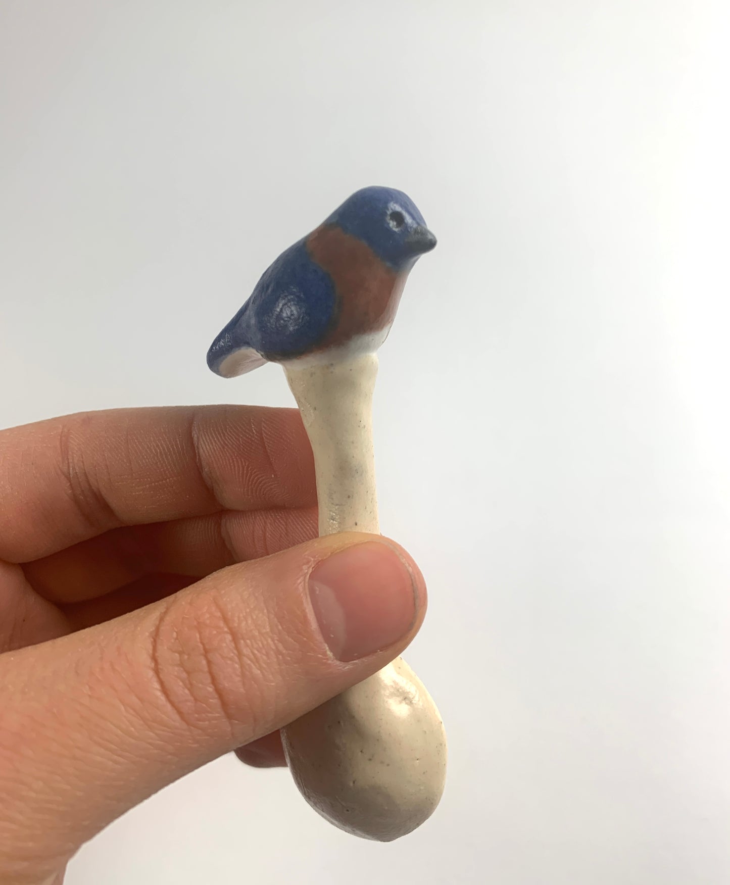 Bluebird Spoon