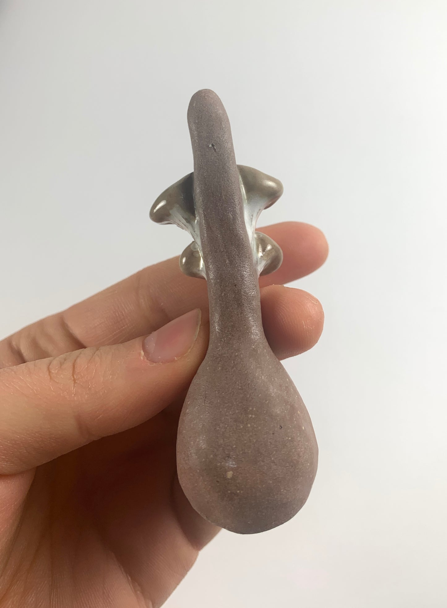 Brown Oyster Mushroom Spoon