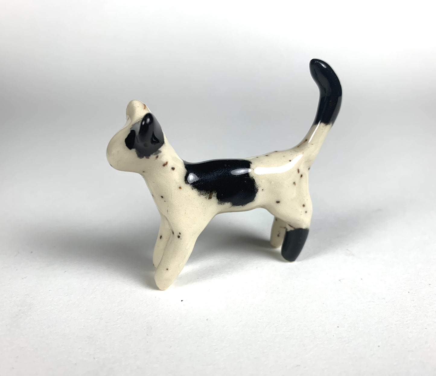 Tiny Cats