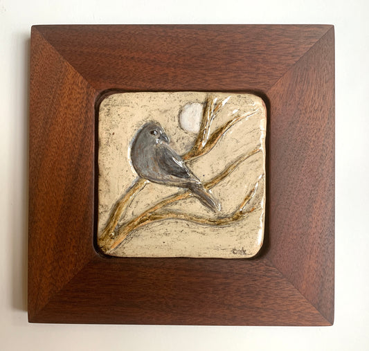 Mourning Dove