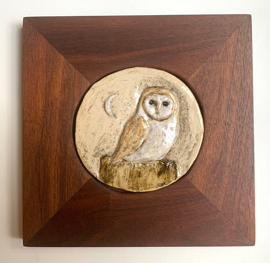 Barn Owl