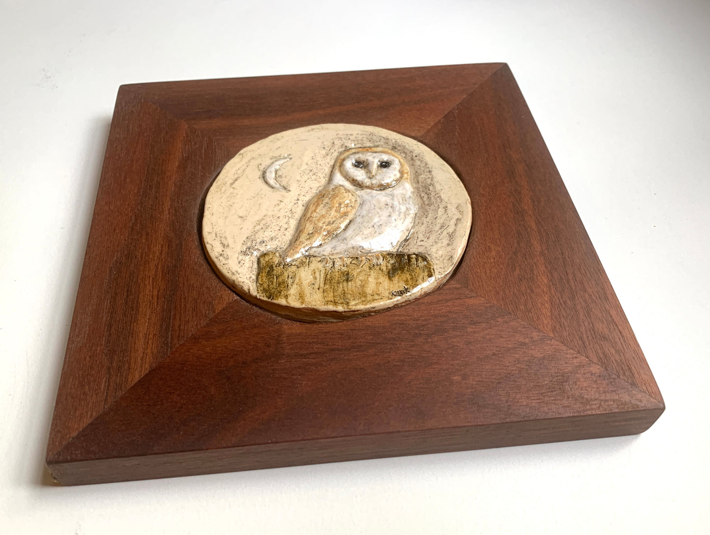 Barn Owl