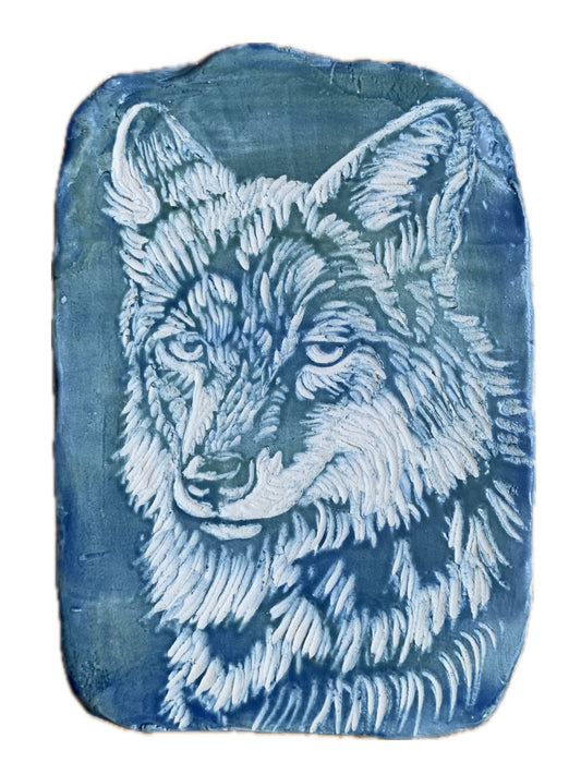 Coyote