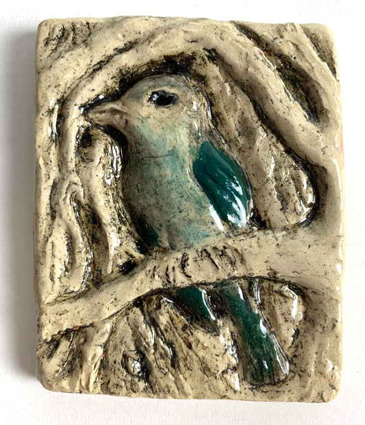 Jewel Wing Bird